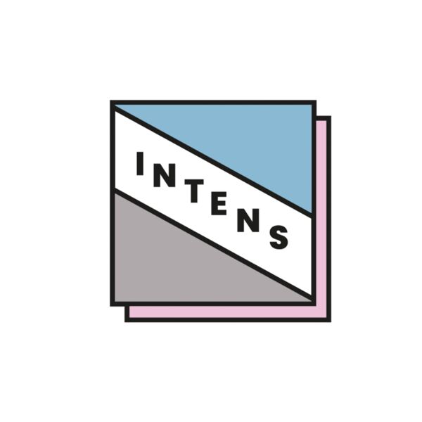 logointensonderdebrug23 Thumbnail